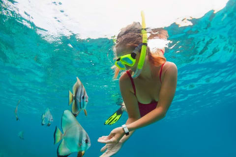 Tour privado en barco a Yelapa y snorkel en Majahuitas (hasta 7 personas) — photo 5