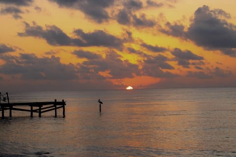 Private Day Trip From Tulum to Cancun, English Speaking Driver — photo 3