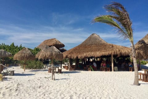 Private Day Trip From Tulum to Cancun, English Speaking Driver — photo 7
