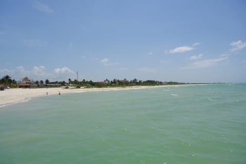 Un día de playa en Sisal — photo 4
