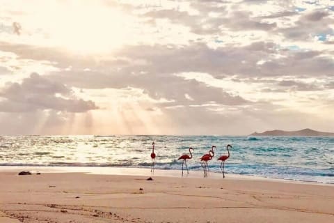 Un día de playa en Sisal — photo 2