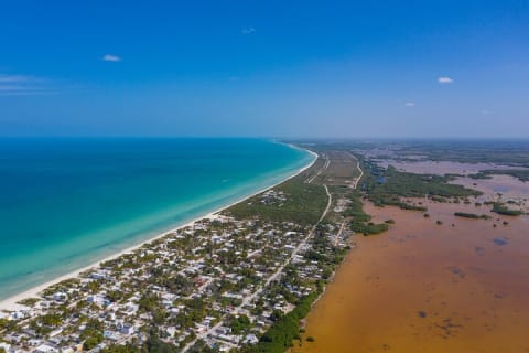 Un día de playa en Sisal — photo 9