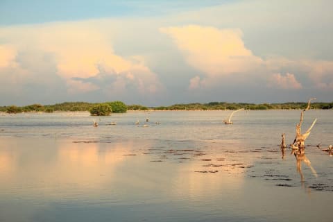 Un día de playa en Sisal — photo 10