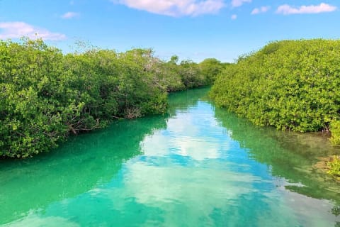Nature Day, Sian Kaan Biosphere Tour! Transportation from Tulum — photo 4