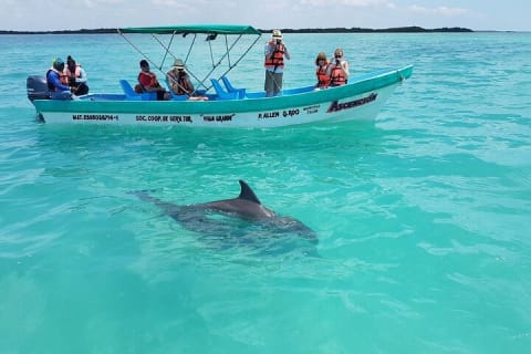 Nature Day, Sian Kaan Biosphere Tour! Transportation from Tulum — photo 6