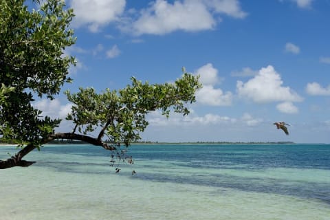 Nature Day, Sian Kaan Biosphere Tour! Transportation from Tulum — photo 9