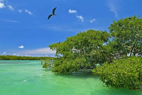 Nature Day, Sian Kaan Biosphere Tour! Transportation from Tulum — photo 1