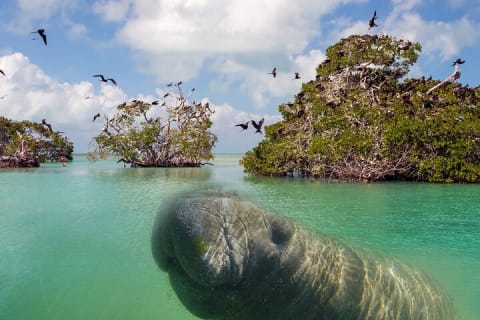 Nature Day, Sian Kaan Biosphere Tour! Transportation from Tulum — photo 12