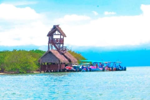 Private 3 Islands Boat Tour around Holbox — photo 5