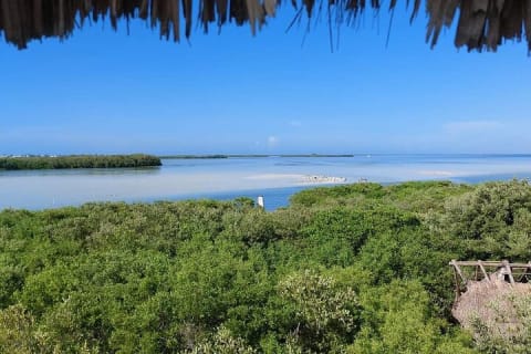 Private 3 Islands Boat Tour around Holbox — photo 6