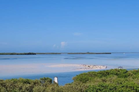 Private 3 Islands Boat Tour around Holbox — photo 7