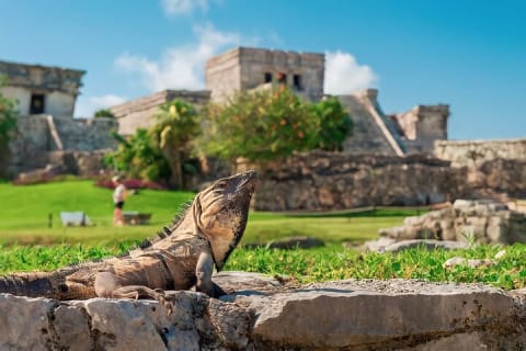 Deluxe Mayan Day to Tulum, Coba & Cenote from Tulum City — photo 10