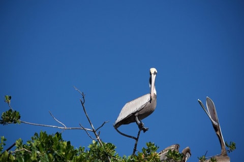 Kayak Merida — photo 9
