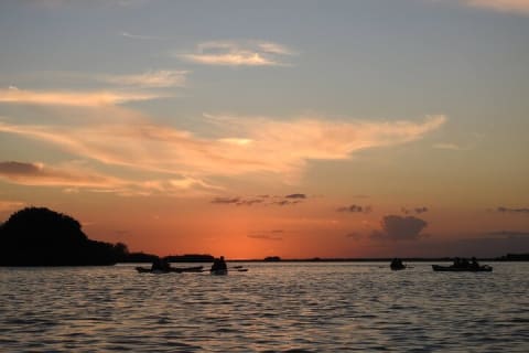 Sunrise Kayak Sian Ka’an Experience — photo 4