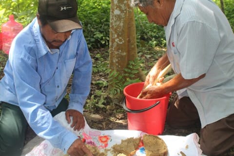 Private Chichen Itza & Yaxunah Ruins with Cenote — photo 7