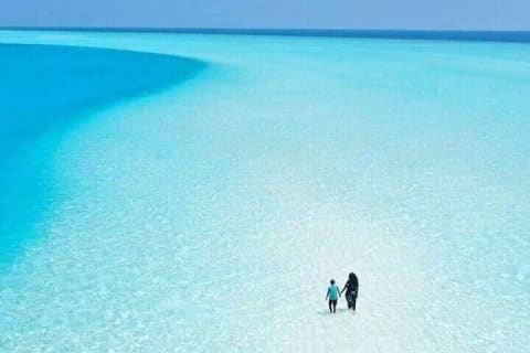 Incredible Holbox Island Tour Punta Mosquito only from Tulum — photo 2