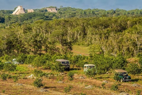 Private Safari Land Rover Vintage Tour Uxmal Ruins & Mayan Brunch — photo 6