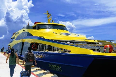 Cozumel Snorkel at El Cielo & 2 Reefs! Transportation from Tulum — photo 10