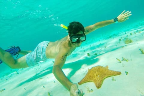 Cozumel Snorkel at El Cielo & 2 Reefs! Transportation from Tulum — photo 9