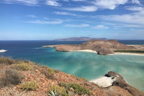 Snorkel con tiburón ballena y lobos marinos en La Paz + tour a Balandra — photo 4