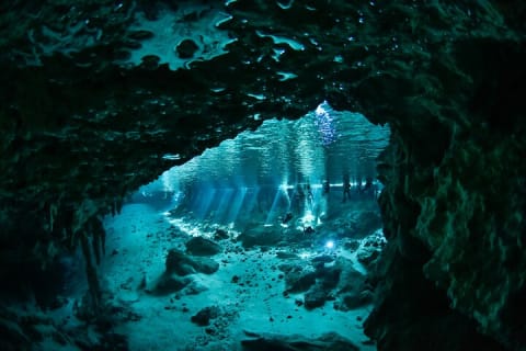 3 Cenote Dives - Casa & Dos Ojos — photo 4