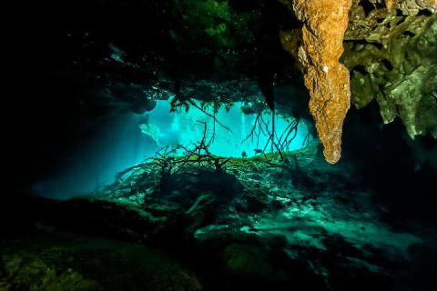 3 Cenote Dives - Casa & Dos Ojos — photo 6