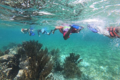 Super Combo ATV in Cancun with Zipline, Snorkel, Cenote, transfer — photo 2