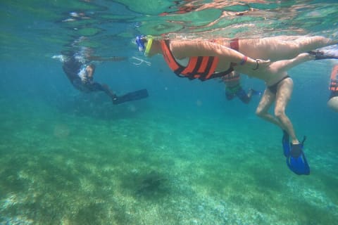 Reef Snorkeling with ATV, Zipline, Cenote that includes lunch and transportation — photo 2