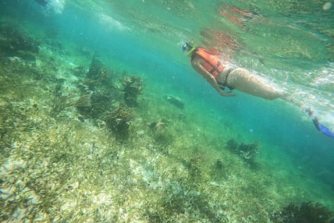 Reef Snorkeling with ATV, Zipline, Cenote that includes lunch and transportation — photo 5