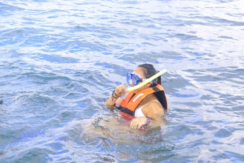 Reef Snorkel, underwater adventure in Puerto Morelos With Transportation & Lunch — photo 14