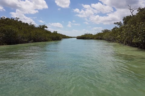 Magic Sian ka'an Deluxe two boats — photo 5