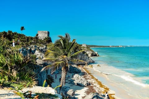 Discover the nature wonders of Tulum and the archaeological site. Lunch included — photo 7