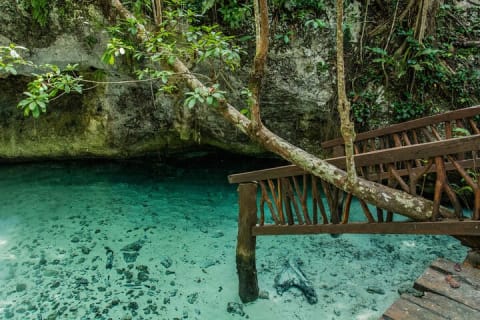 Discover the nature wonders of Tulum and the archaeological site. Lunch included — photo 6