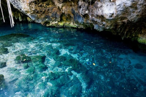 Discover the nature wonders of Tulum and the archaeological site. Lunch included — photo 10