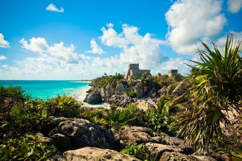 Discover the nature wonders of Tulum and the archaeological site. Lunch included — photo 13