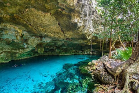 Discover the nature wonders of Tulum and the archaeological site. Lunch included — photo 14