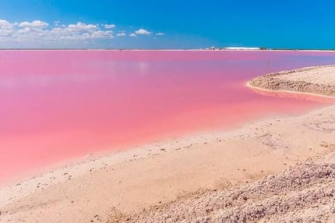 Explore Las Coloradas & Rio Lagartos, Full Day only from Tulum — photo 7