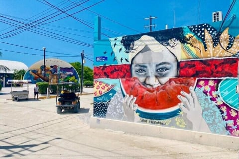 Holbox Yalahau Pasion Island & Mosquito beach boat From Tulum — photo 4