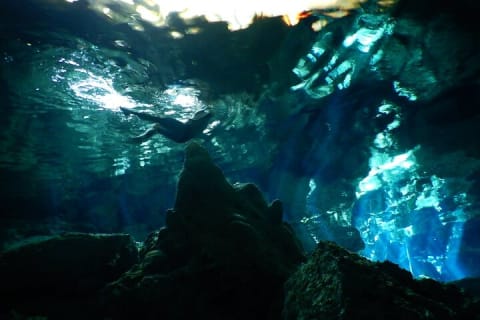 Tulum cenote diving. The ultimate experience in scuba — photo 9