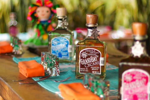 Premium Tequila Tasting Puerto Vallarta Distillery — photo 7