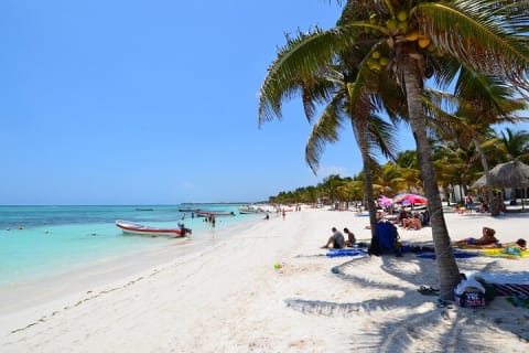 Half Day Private Snorkeling with Turtles and Majestic Cenotes — photo 3