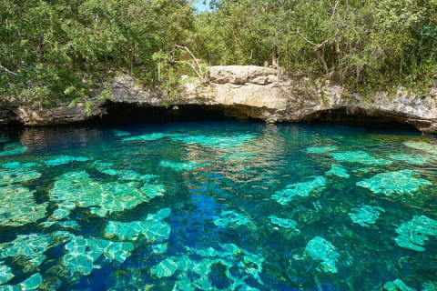 Half Day Private Snorkeling with Turtles and Majestic Cenotes — photo 4