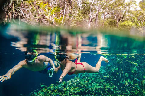 Half Day Private Snorkeling with Turtles and Majestic Cenotes — photo 5
