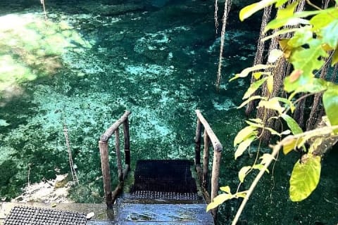 Full-Day Tulum Cenotes Dos Ojos and Gran Cenote Tour — photo 3