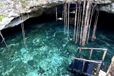 Full-Day Tulum Cenotes Dos Ojos and Gran Cenote Tour — photo 6