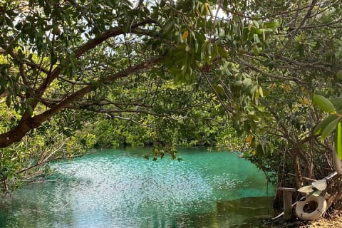 Small-Group 3 Cenotes Adventure Tour — photo 6