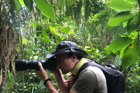 EcoHike to private beach, Jungle Walk to see plants & animals — photo 15