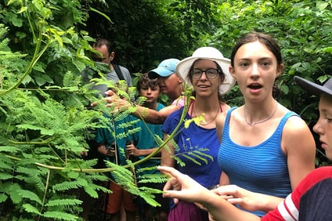 EcoHike to private beach, Jungle Walk to see plants & animals — photo 9