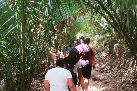 Ecotour en Puerto Vallarta — photo 5