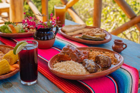 Magical Todos Santos Tour with Camel Ranch, Lunch, and Tequila — photo 12